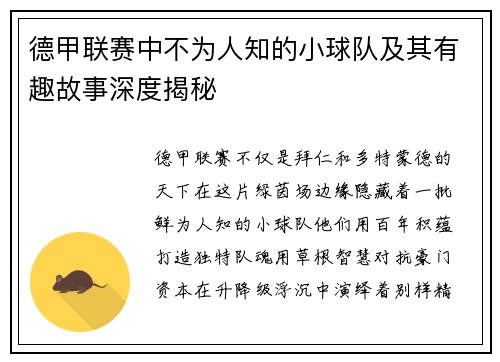 德甲联赛中不为人知的小球队及其有趣故事深度揭秘